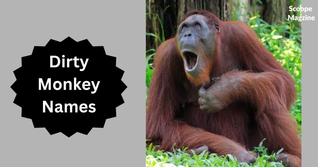 Dirty Monkey Names
