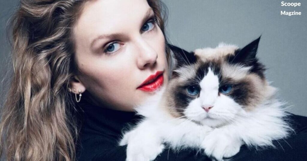 Taylor Swift Themed Cat Names